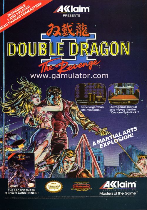 Double Dragon II - The Revenge