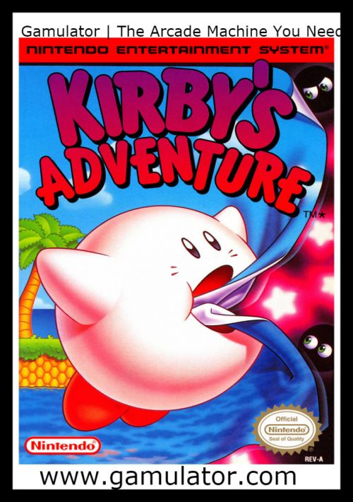 Kirby's Adventure