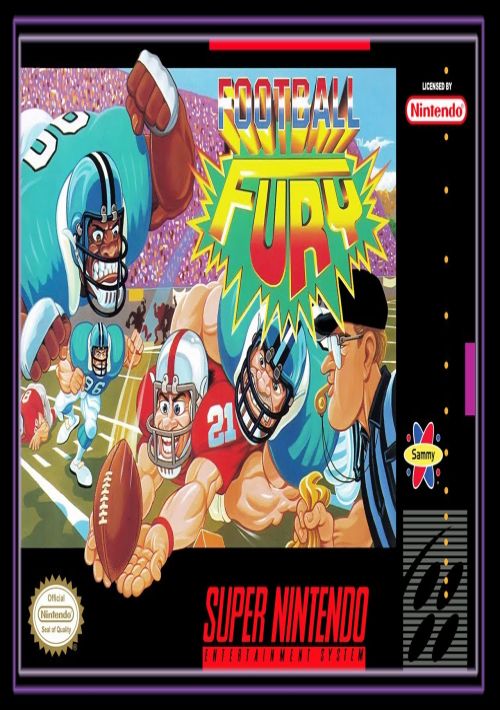 Football Fury