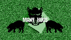 MANY HOGS