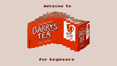 BARRYS TEA FOR BEGINNERS
